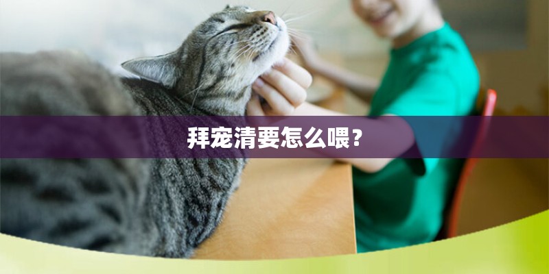 拜宠清要怎么喂? 拜宠清要怎么喂?