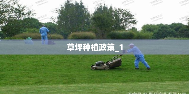 草坪种植政策_1 草坪种植政策_1