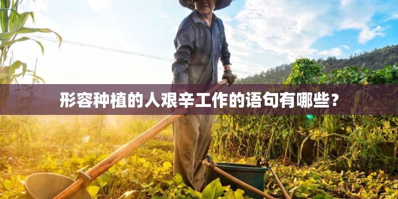 形容种植的人艰辛工作的语句有哪些? 形容种植的人艰辛工作的语句有哪些?