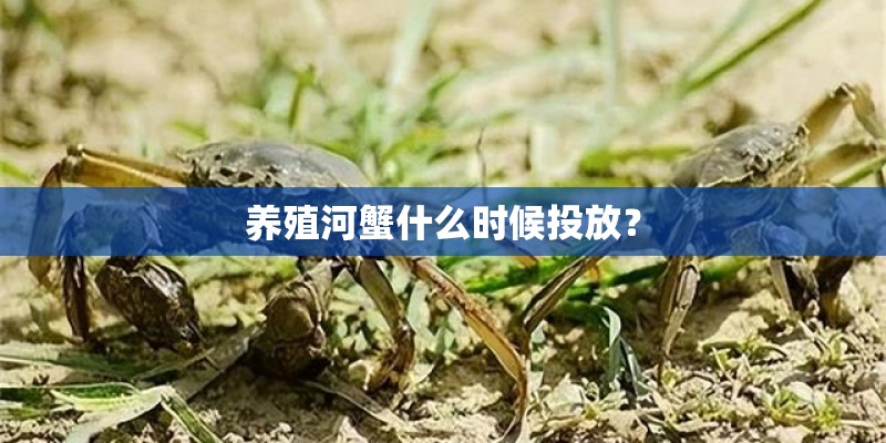 养殖河蟹什么时候投放? 养殖河蟹什么时候投放?