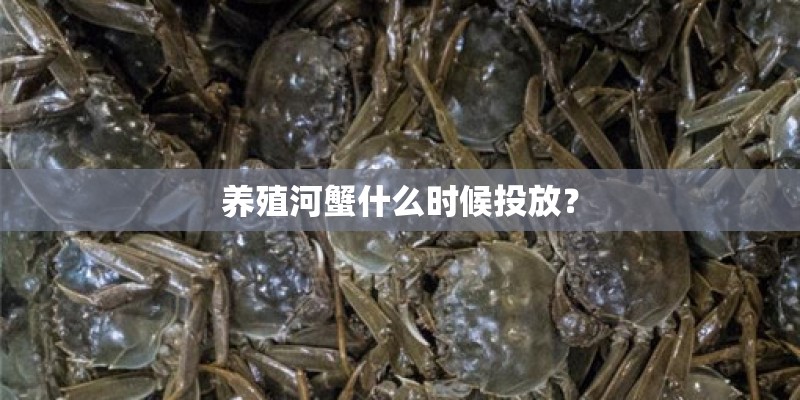 养殖河蟹什么时候投放? 养殖河蟹什么时候投放?