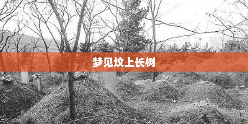 梦见坟上长树 梦见坟上长树