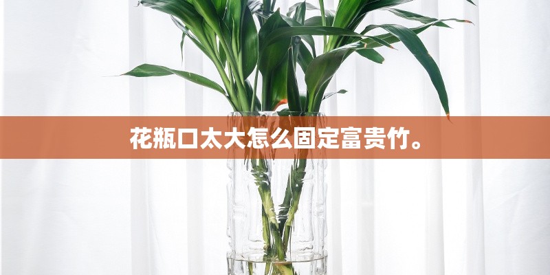 花瓶口太大怎么固定富贵竹。 花瓶口太大怎么固定富贵竹。