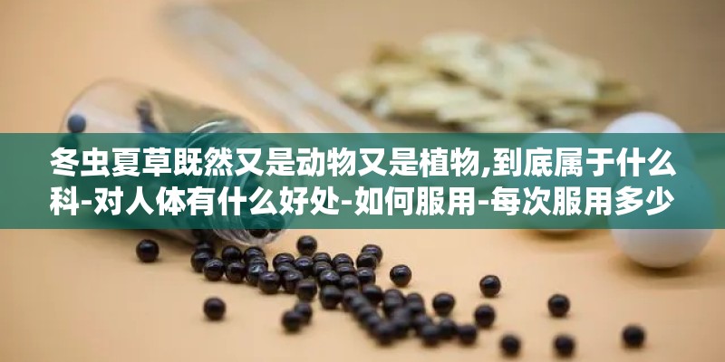 冬虫夏草既然又是动物又是植物,到底属于什么科-对人体有什么好处-如何服用-每次服用多少- 冬虫夏草既然又是动物又是植物,到底属于什么科-对人体有什么好处-如何服用-每次服用多少-