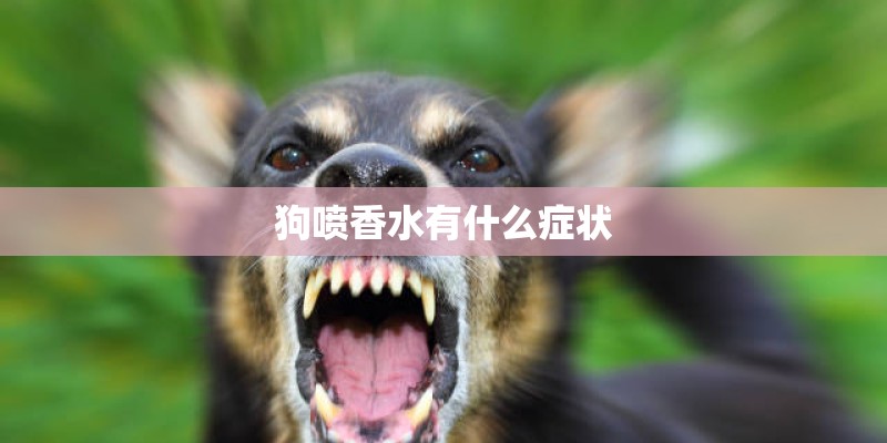 狗喷香水有什么症状 狗喷香水有什么症状