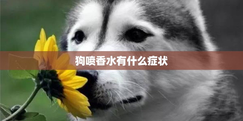 狗喷香水有什么症状 狗喷香水有什么症状