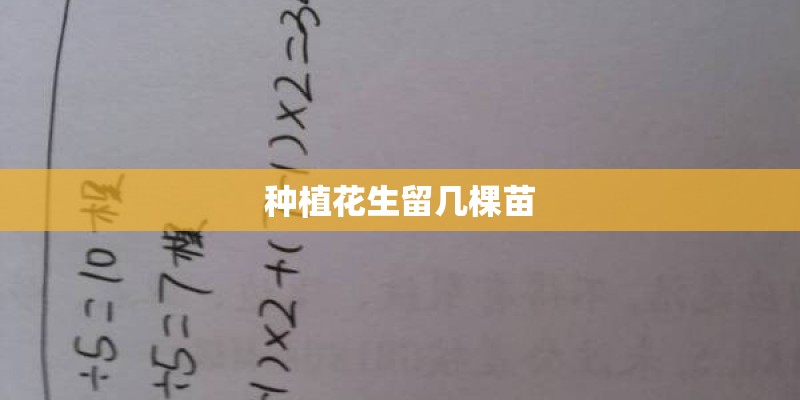 种植花生留几棵苗 种植花生留几棵苗