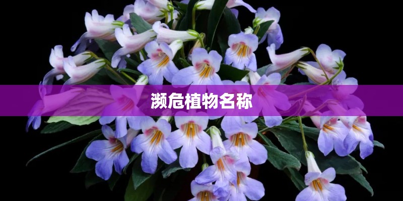 濒危植物名称 濒危植物名称