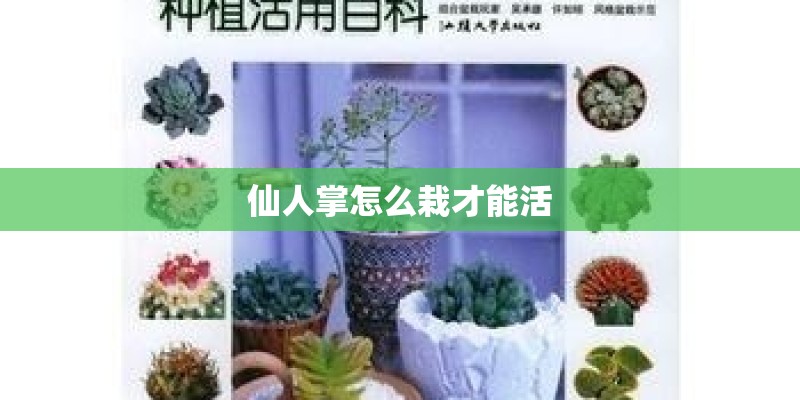 仙人掌怎么栽才能活 仙人掌怎么栽才能活