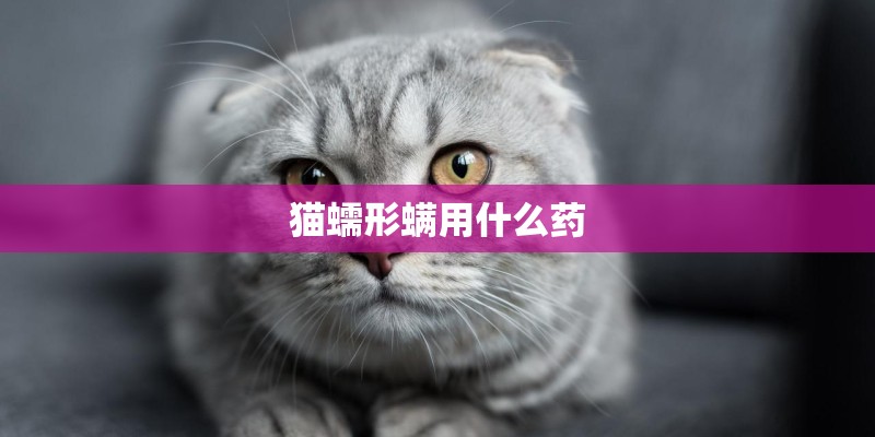 猫蠕形螨用什么药 猫蠕形螨用什么药
