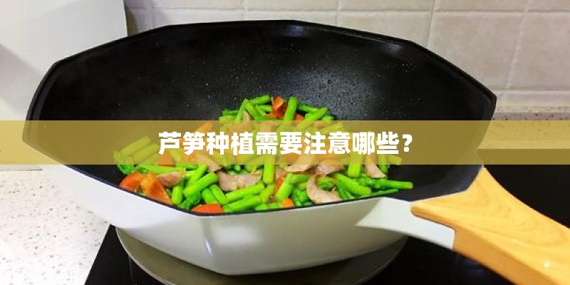 芦笋种植需要注意哪些? 芦笋种植需要注意哪些?