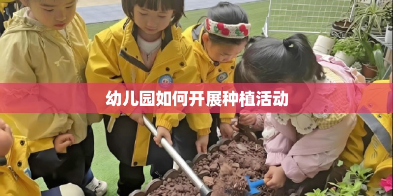 幼儿园如何开展种植活动