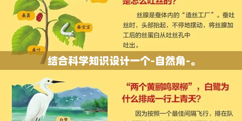 结合科学知识设计一个-自然角-。