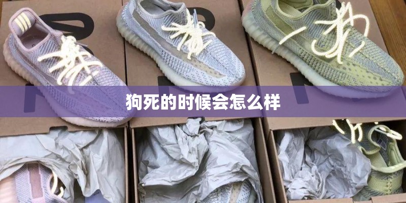 狗死的时候会怎么样 狗死的时候会怎么样