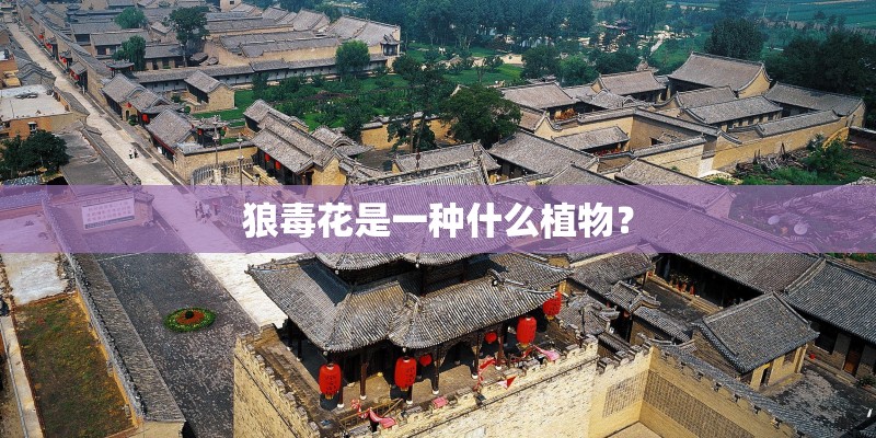 狼毒花是一种什么植物？