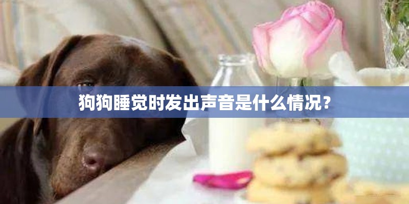 狗狗睡觉时发出声音是什么情况？