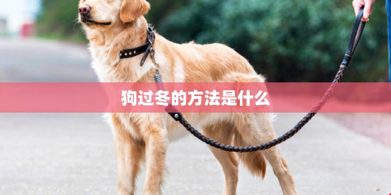 邮政快递只有尾号怎么查 邮政快递只有尾号怎么查