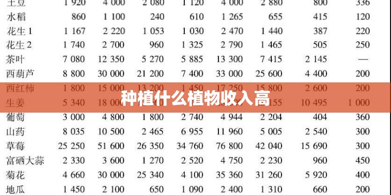 种植什么植物收入高 种植什么植物收入高
