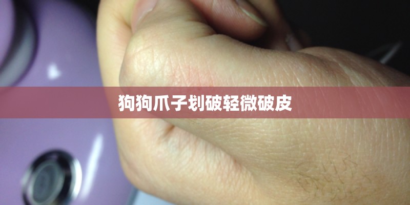 狗狗爪子划破轻微破皮 狗狗爪子划破轻微破皮