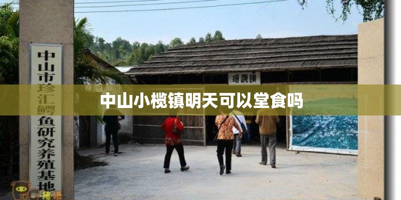 广东湛江地区能种榴莲吗? 广东湛江地区能种榴莲吗?