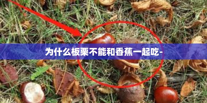 为什么板栗不能和香蕉一起吃- 为什么板栗不能和香蕉一起吃-