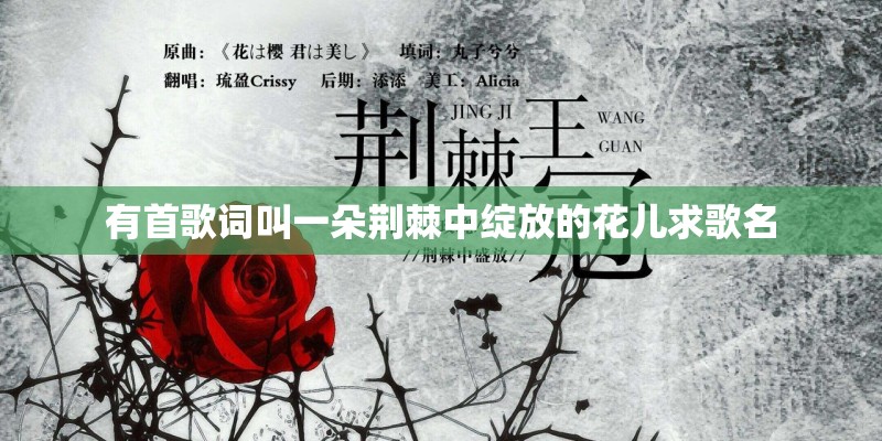 有首歌词叫一朵荆棘中绽放的花儿求歌名 有首歌词叫一朵荆棘中绽放的花儿求歌名
