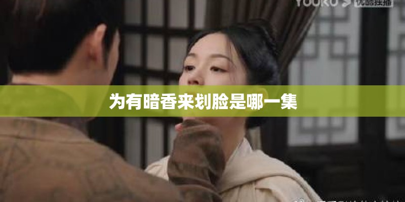 为有暗香来划脸是哪一集 为有暗香来划脸是哪一集