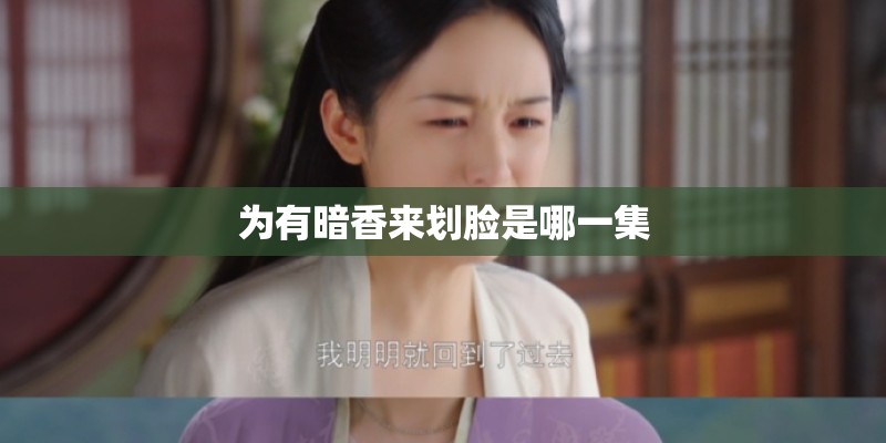 为有暗香来划脸是哪一集 为有暗香来划脸是哪一集