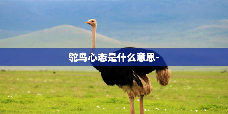 鸵鸟心态是什么意思- 鸵鸟心态是什么意思-