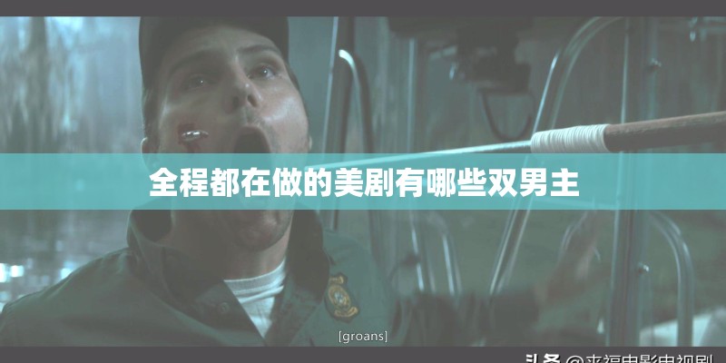 全程都在做的美剧有哪些双男主 全程都在做的美剧有哪些双男主