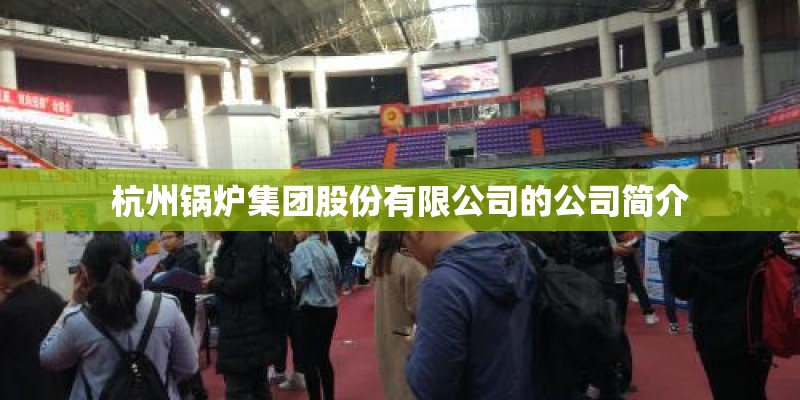 杭州锅炉集团股份有限公司的公司简介 杭州锅炉集团股份有限公司的公司简介