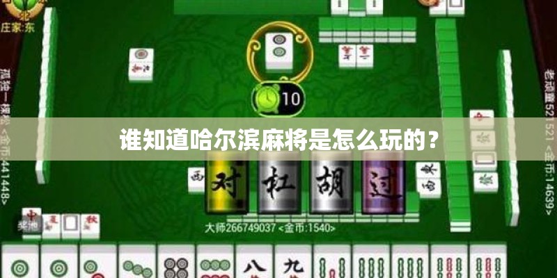 谁知道哈尔滨麻将是怎么玩的? 谁知道哈尔滨麻将是怎么玩的?