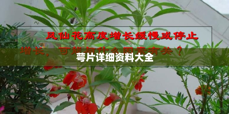 萼片详细资料大全 萼片详细资料大全