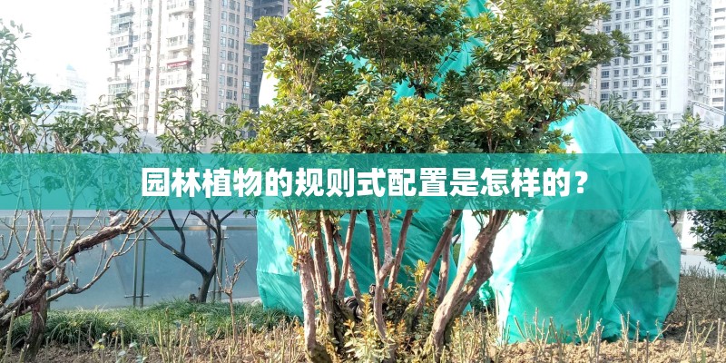 园林植物的规则式配置是怎样的? 园林植物的规则式配置是怎样的?