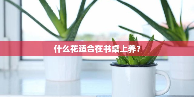 什么花适合在书桌上养? 什么花适合在书桌上养?