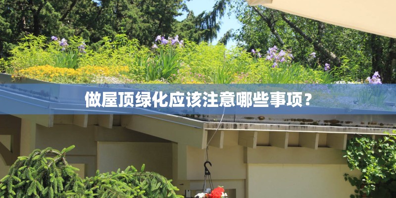 做屋顶绿化应该注意哪些事项? 做屋顶绿化应该注意哪些事项?