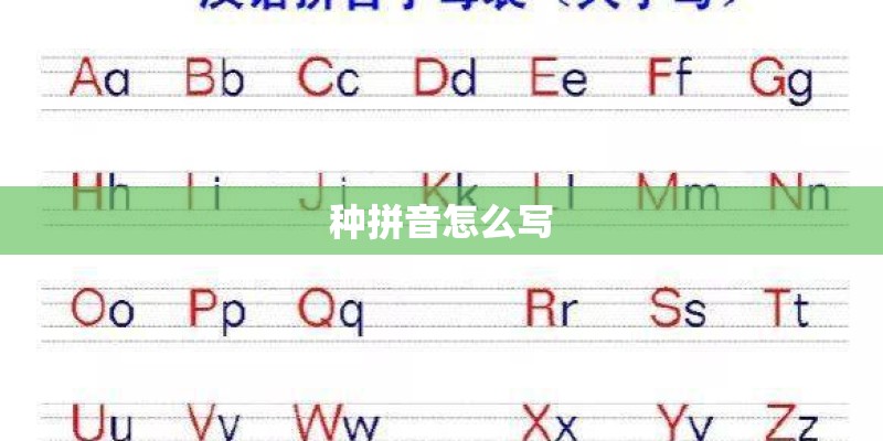 种拼音怎么写 种拼音怎么写