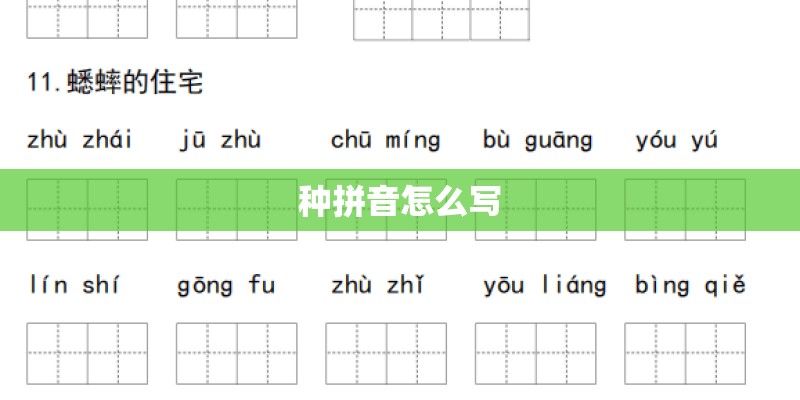 种拼音怎么写 种拼音怎么写