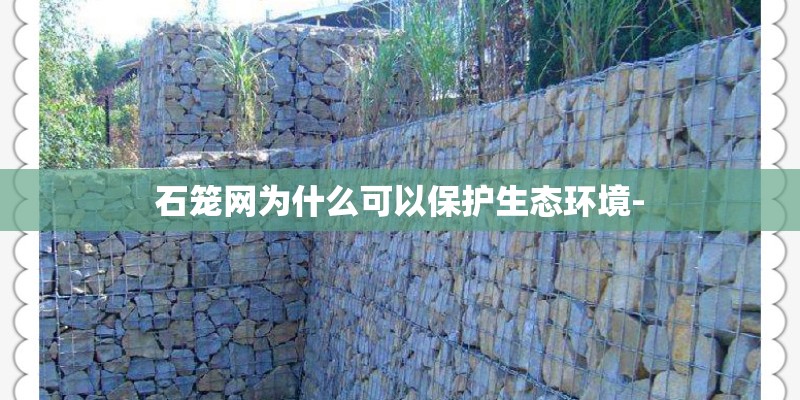 石笼网为什么可以保护生态环境- 石笼网为什么可以保护生态环境-